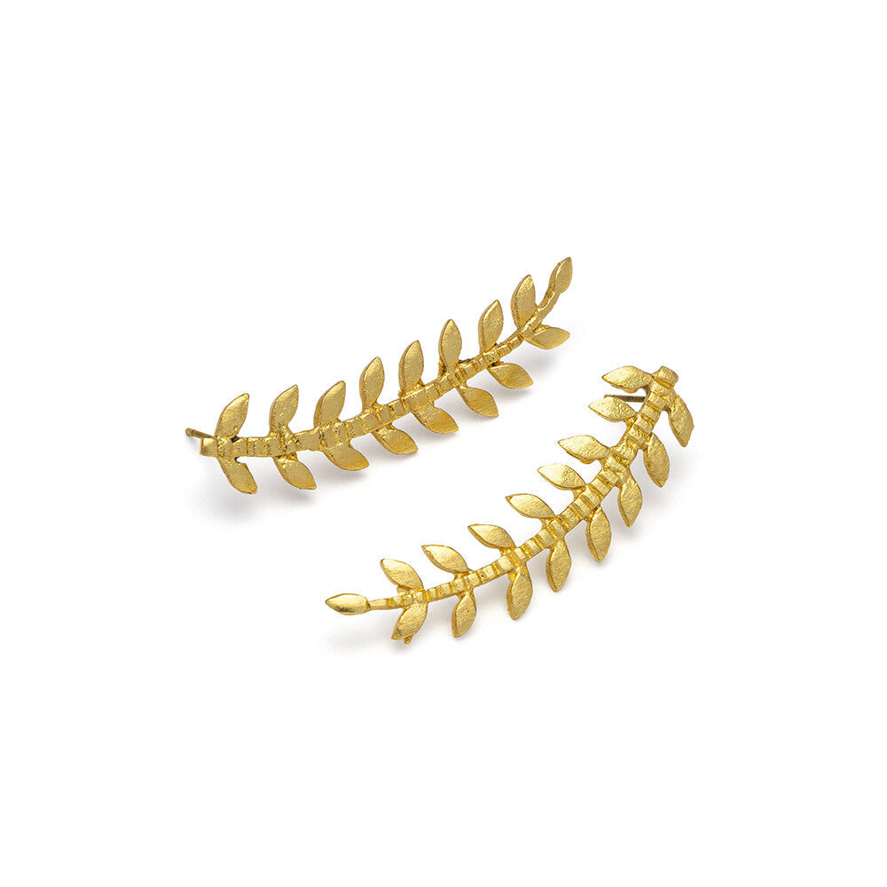 Aros  Felce Non Solo Bella